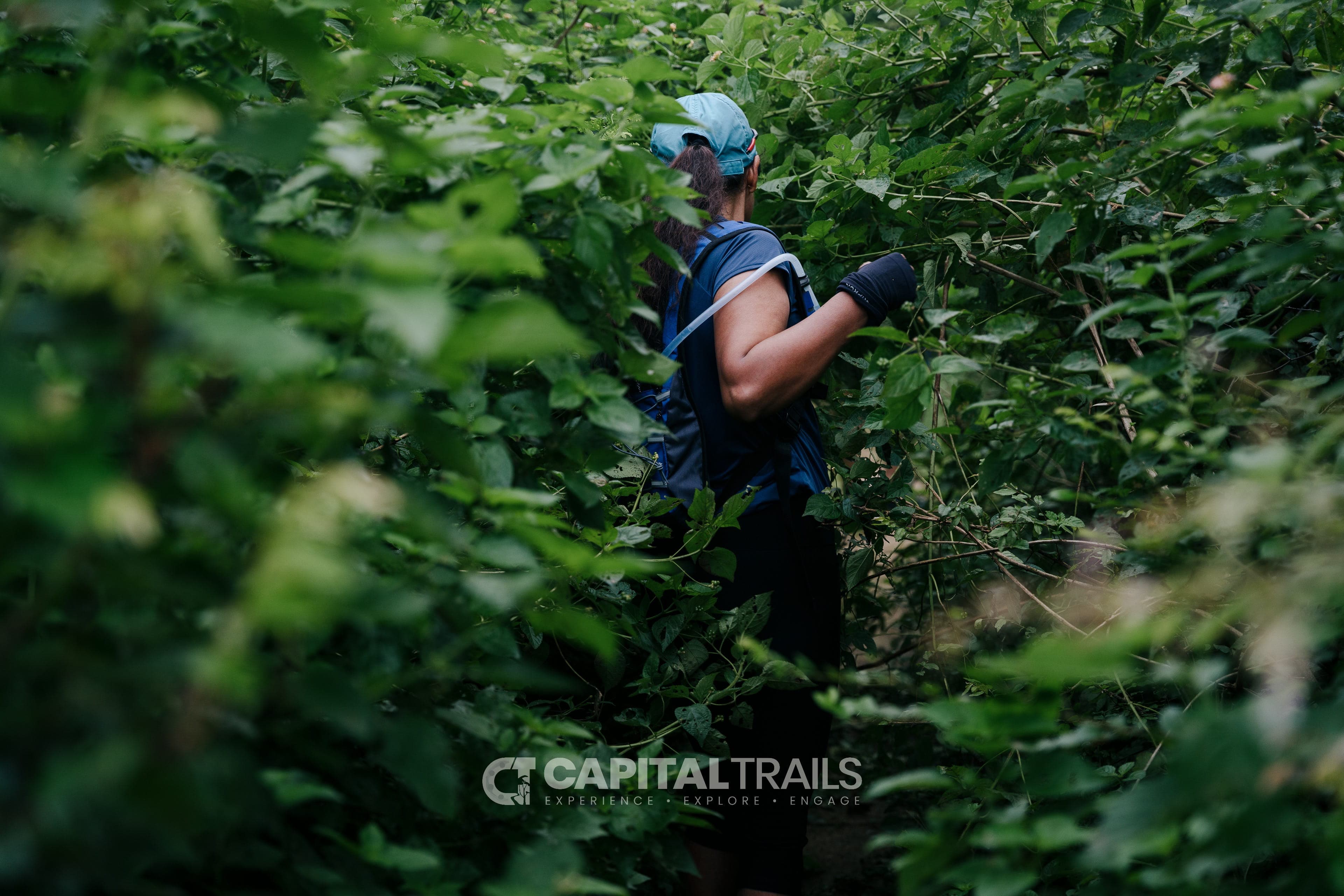 CapitalTrails