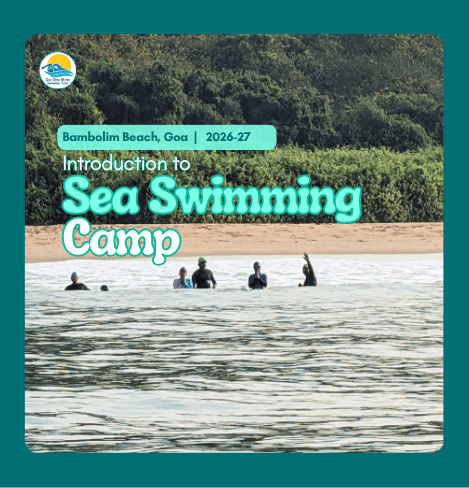Test Event - Introduction to Sea Swimming Camp 2026-27 - 1K