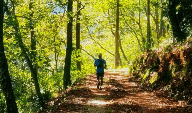 Chennai Trail Ultra