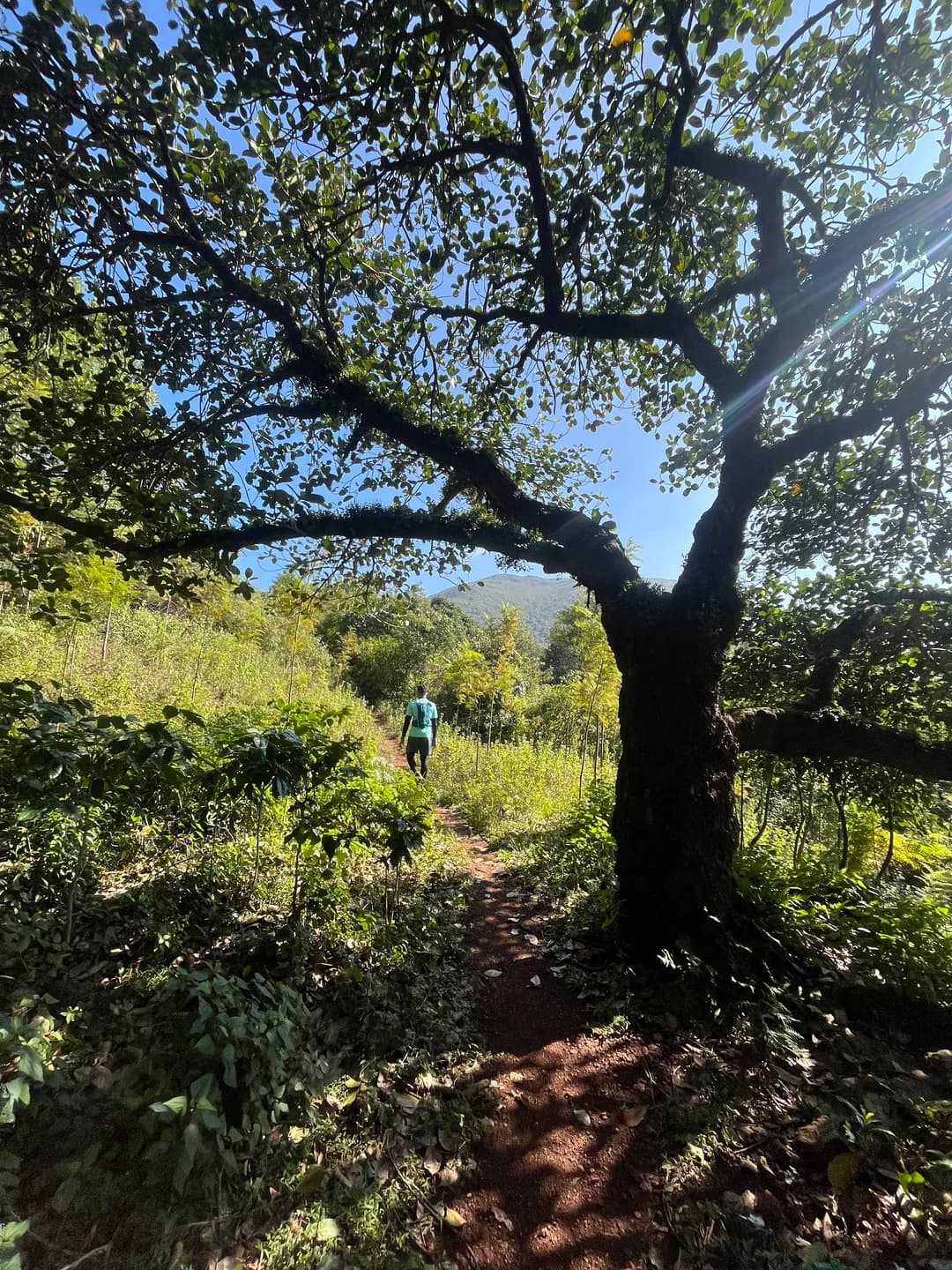 Ultribe Paderu 10K